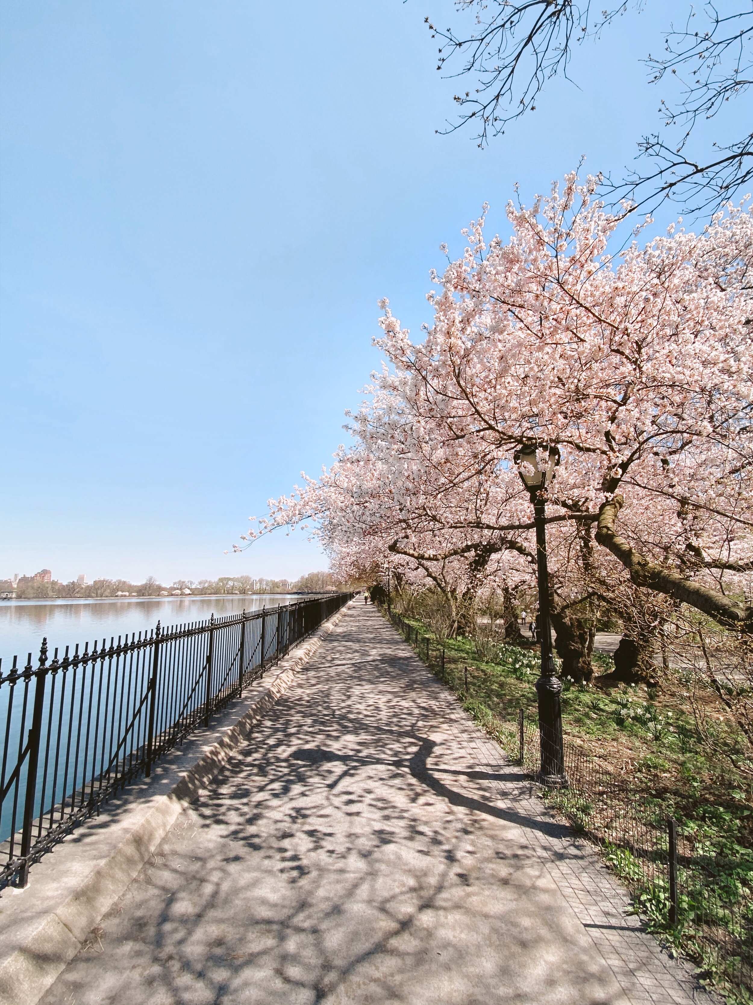 🌳 스에히로 중앙공원 (末広中央公園) 이미지 6